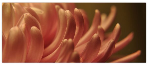 A virág részletének képe (120x50 cm)