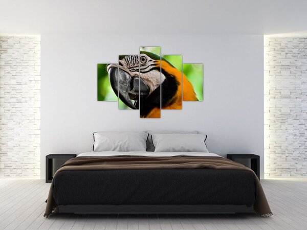 Papagáj képe (150x105 cm)