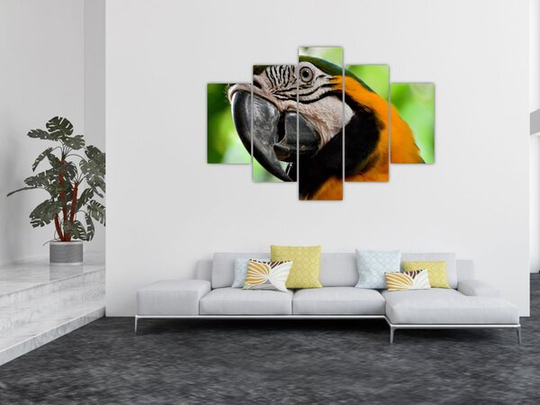 Papagáj képe (150x105 cm)