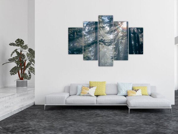 Fák képe a ragyogó nappal (150x105 cm)
