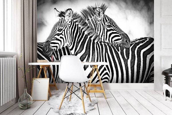 Fotótapéta - Zebra (152,5x104 cm)