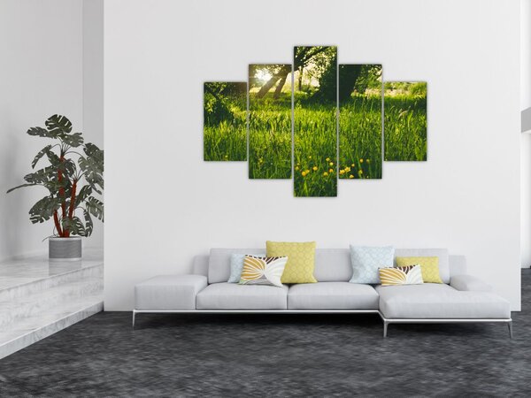 Tájkép - rét (150x105 cm)