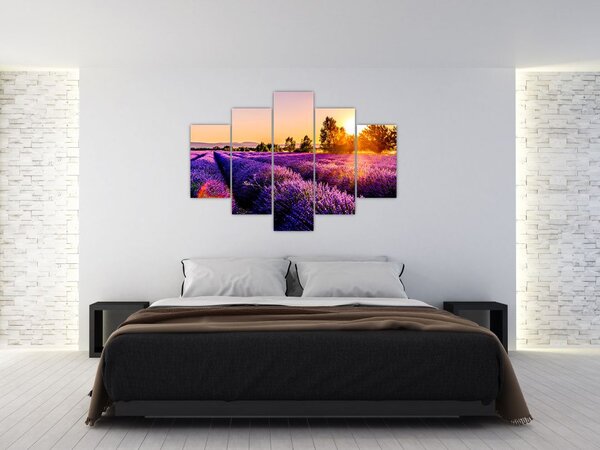 Levandula mező képe (150x105 cm)