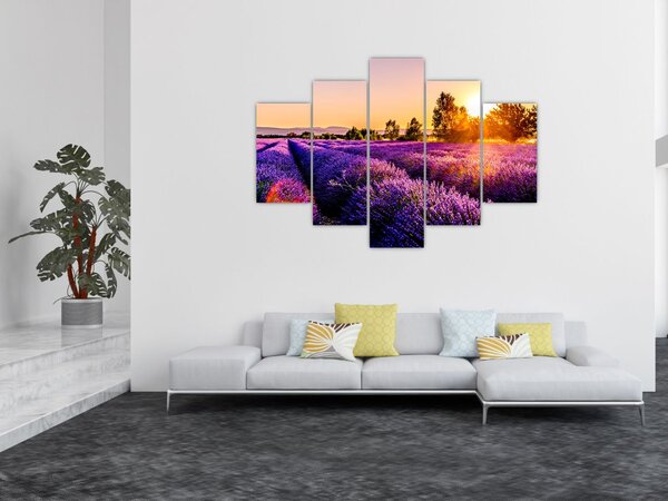 Levandula mező képe (150x105 cm)