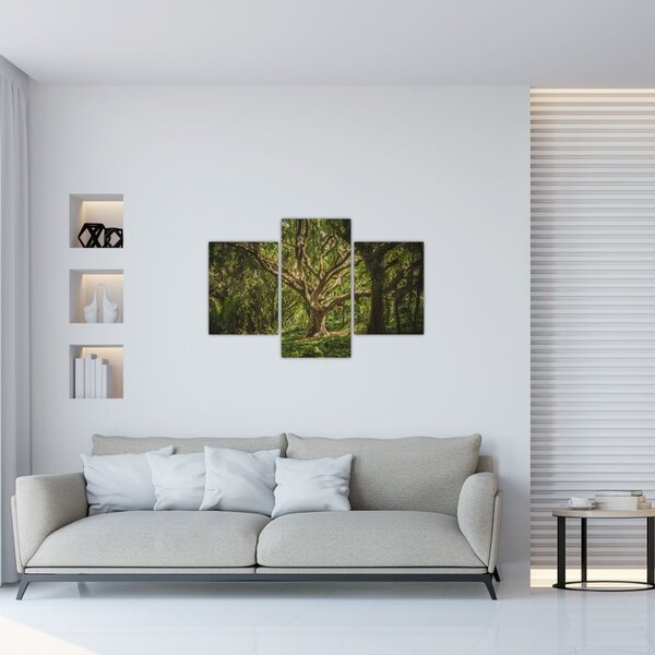 Fa képe (90x60 cm)