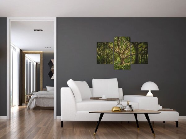Fa képe (90x60 cm)