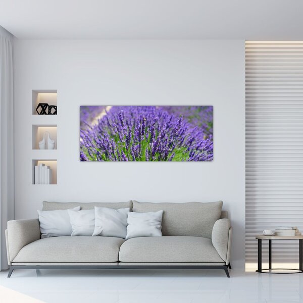Kép - levandula (120x50 cm)