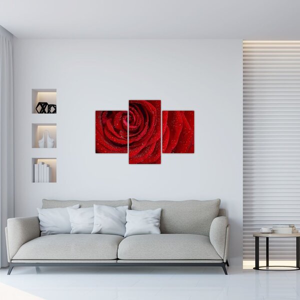 Kép - részlet a rózsáról (90x60 cm)