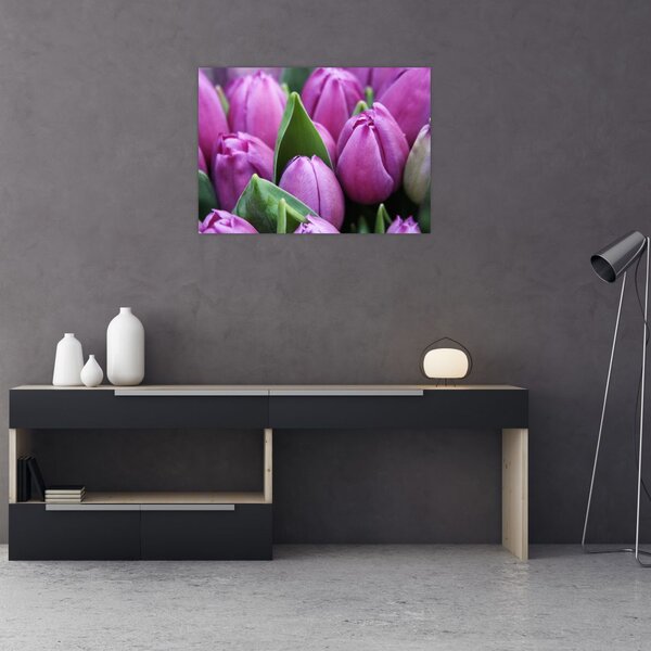 Kép - tulipánok (70x50 cm)