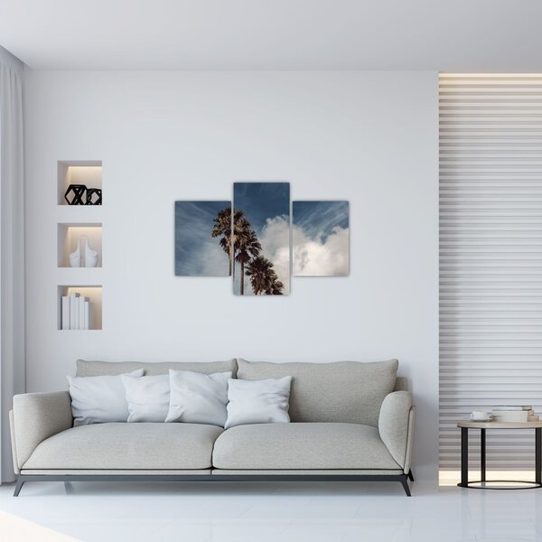 Kép - Pálma dráma (90x60 cm)