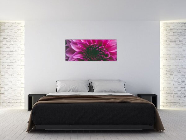 Rózsaszín virág képe (120x50 cm)