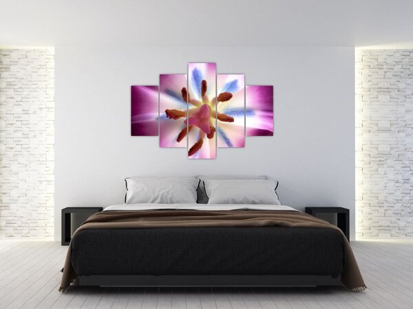 Kép - Tulipán virág részletesen (150x105 cm)