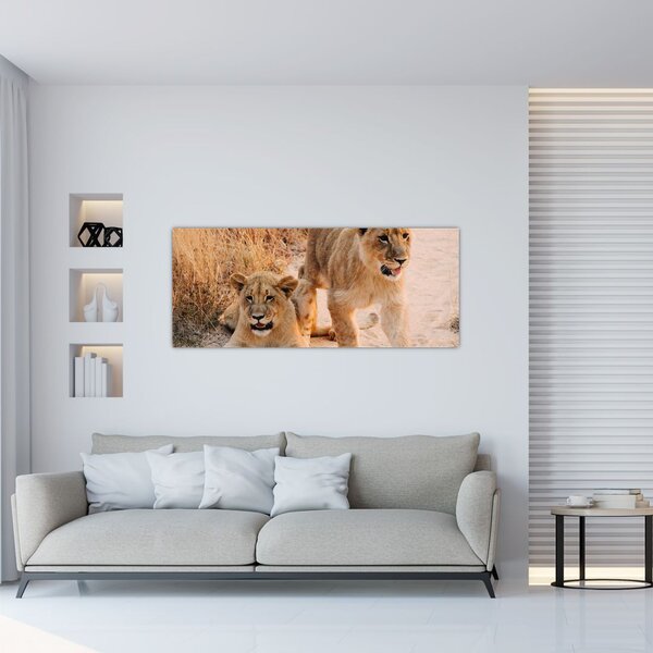 Egy oroszlán képe (120x50 cm)