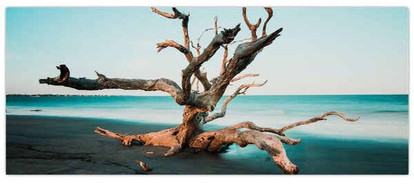 Kép - Úszó a tengerparton (120x50 cm)