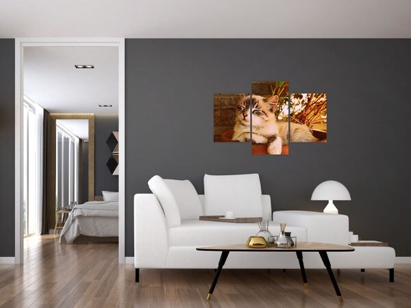 Macska a virágcserépben képe (90x60 cm)