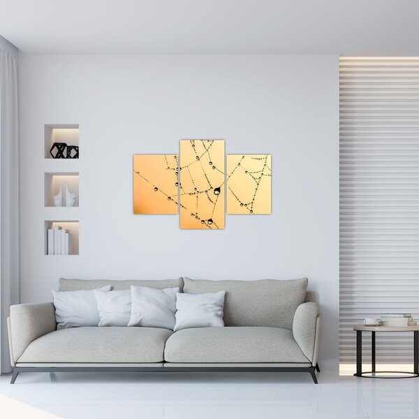 Egy harmatos pókháló képe (90x60 cm)