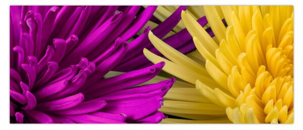 Kép - virág részlet (120x50 cm)