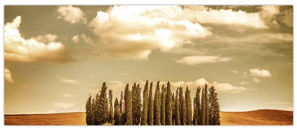A Tisztás képe (120x50 cm)
