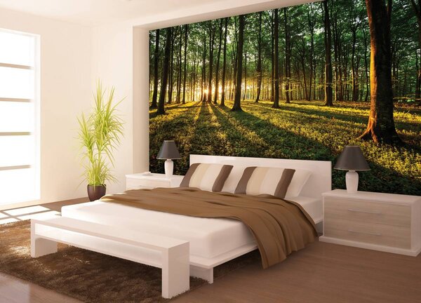 Fotótapéta - Erdő (152,5x104 cm)