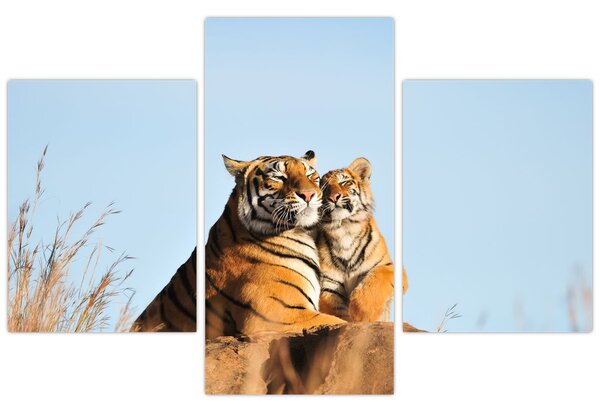 Kép - Tigris és a kölyke (90x60 cm)