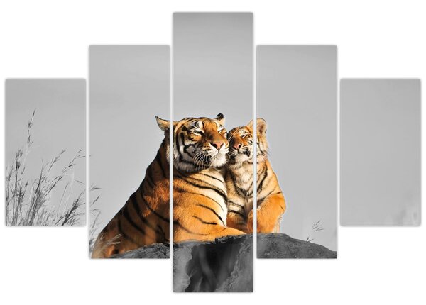 Kép - Tigris és a kölyke, fekete-fehér változat (150x105 cm)