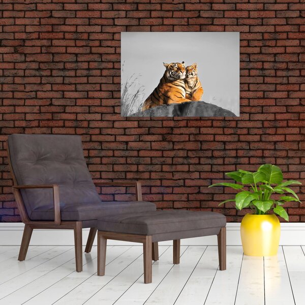 Kép - Tigris és a kölyke, fekete-fehér változat (70x50 cm)