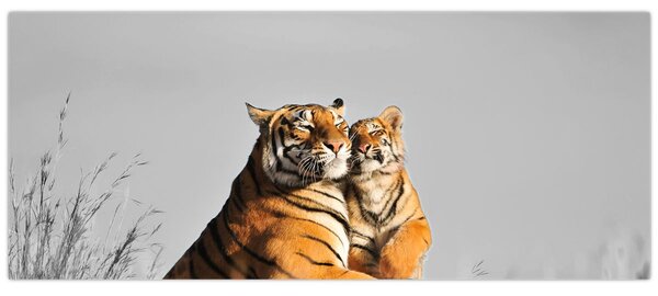 Kép - Tigris és a kölyke, fekete-fehér változat (120x50 cm)