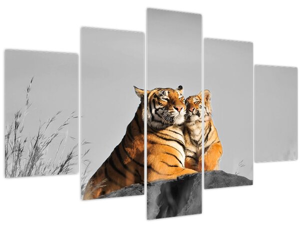 Kép - Tigris és a kölyke, fekete-fehér változat (150x105 cm)