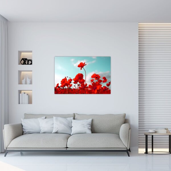 Fényes piros virágokkal rendelkező mező képe (90x60 cm)