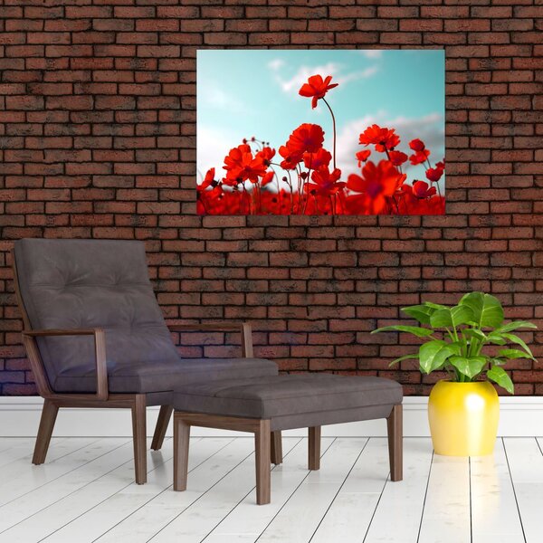 Fényes piros virágokkal rendelkező mező képe (90x60 cm)