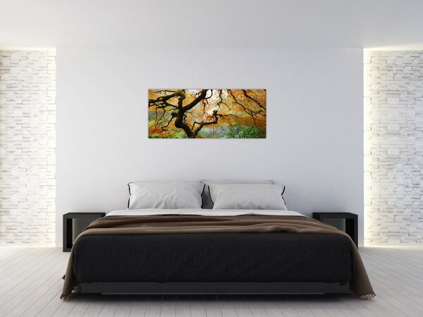 Egy sárga japán juhar képe, Portland, Oregon (120x50 cm)