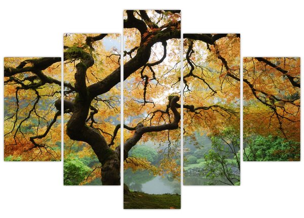 Egy sárga japán juhar képe, Portland, Oregon (150x105 cm)