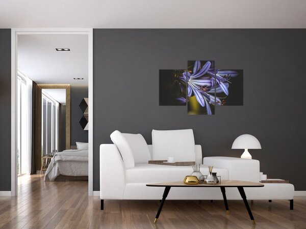 Kép - Lila (90x60 cm)