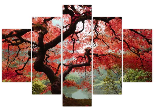 Red Japanese Maple, Portland, Oregon képe (150x105 cm)