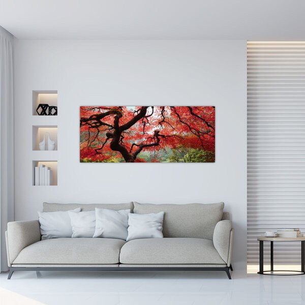 Red Japanese Maple, Portland, Oregon képe (120x50 cm)