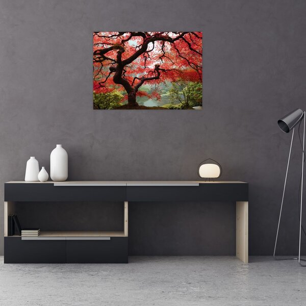 Red Japanese Maple, Portland, Oregon képe (üvegen) (70x50 cm)