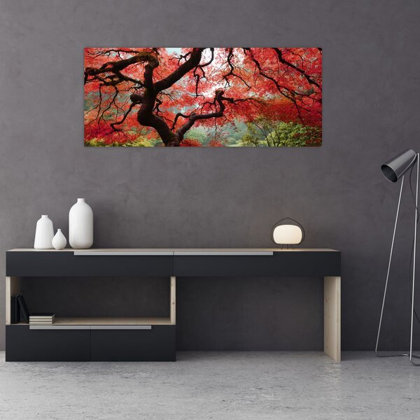 Red Japanese Maple, Portland, Oregon képe (120x50 cm)