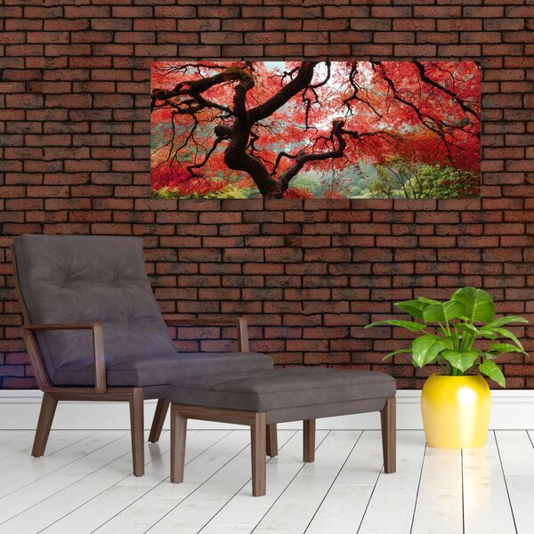 Red Japanese Maple, Portland, Oregon képe (120x50 cm)