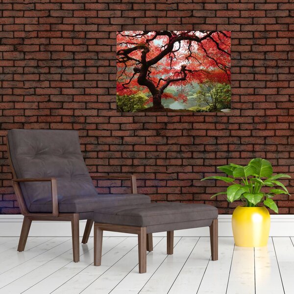 Red Japanese Maple, Portland, Oregon képe (üvegen) (70x50 cm)