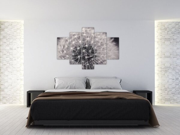 Pitypang képe (150x105 cm)