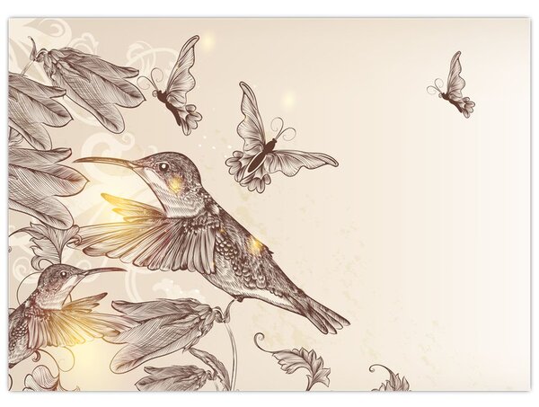 Kép - Kolibri (70x50 cm)