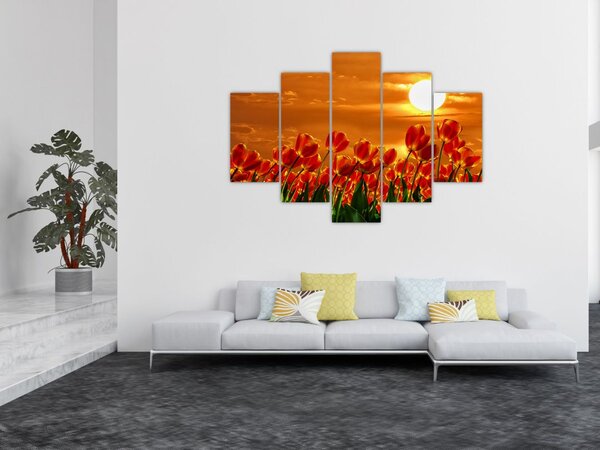 Kép egy virágzó mező tulipánokkal (150x105 cm)