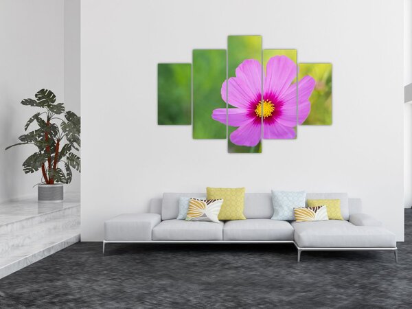 Kép - réti virág (150x105 cm)
