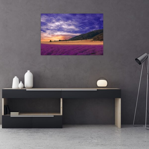 A levendula rét képe (90x60 cm)
