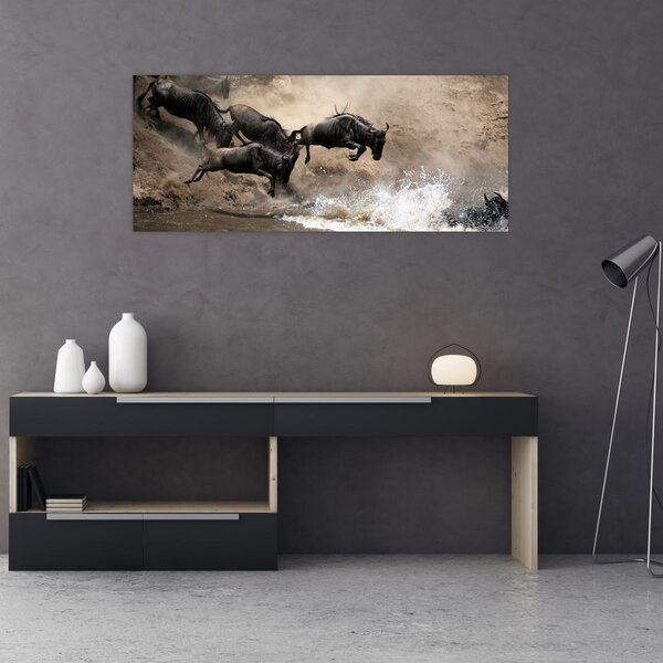 Kép - Gnúcsorda (120x50 cm)