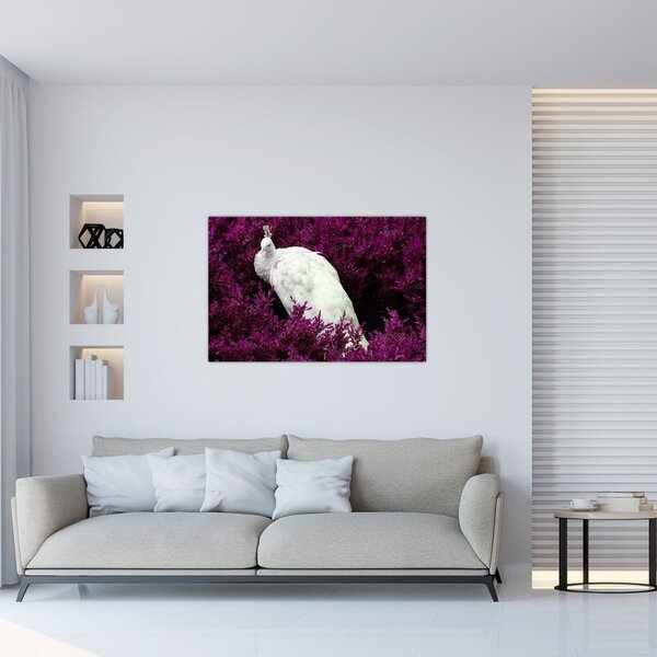 Kép - Fehér páva (90x60 cm)