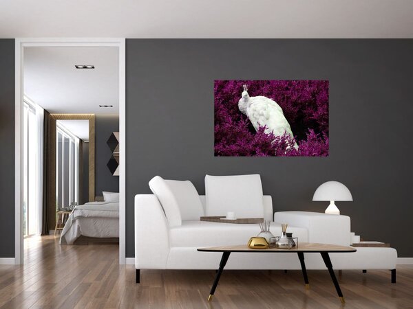 Kép - Fehér páva (90x60 cm)