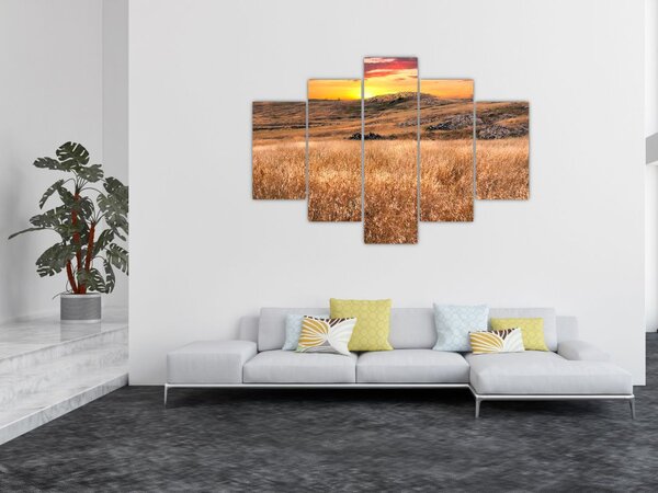 Mező képe (150x105 cm)