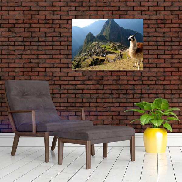 Kép - Láma és Machu Picchu (70x50 cm)