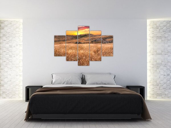 Mező képe (150x105 cm)